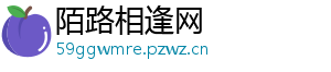 陌路相逢网